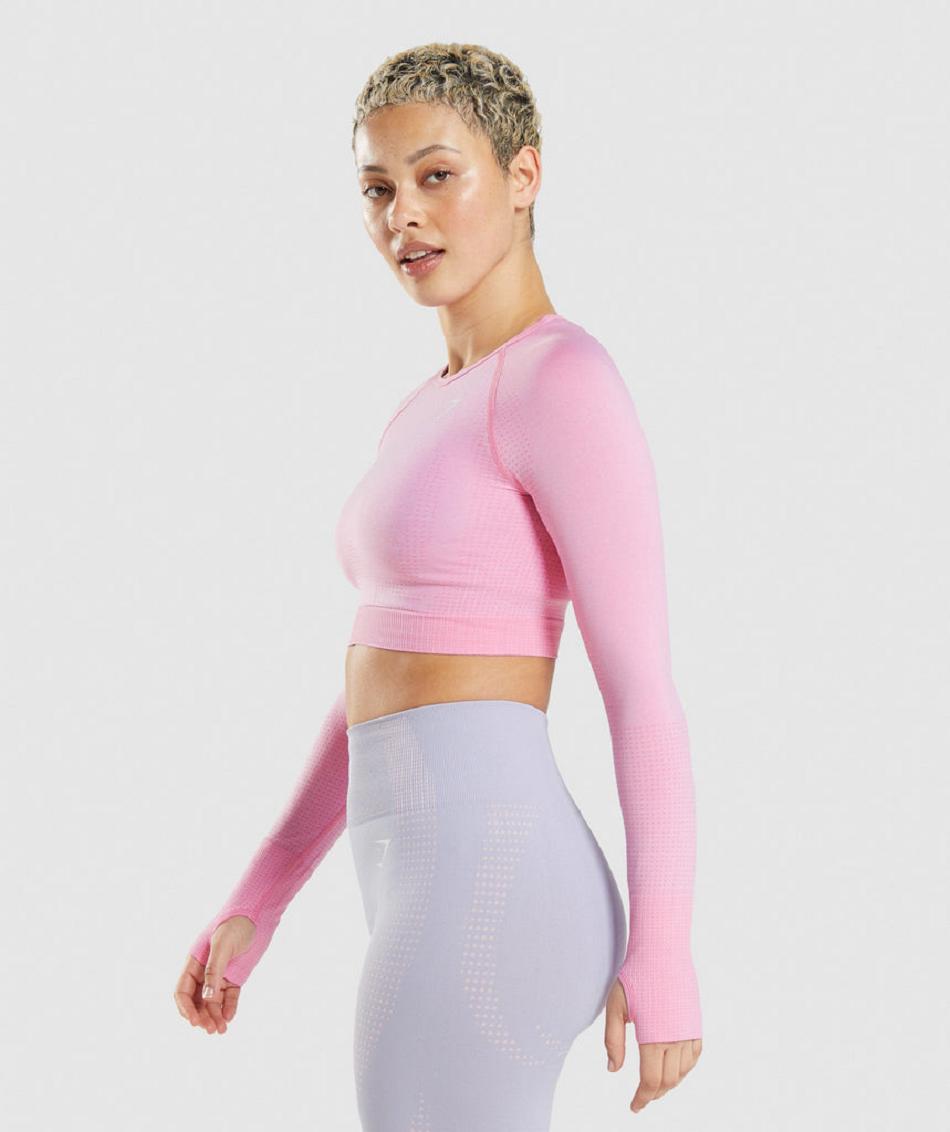 Corp Tops Gymshark Vital Seamless 2.0 Mujer Rosas | CO 2448LIS